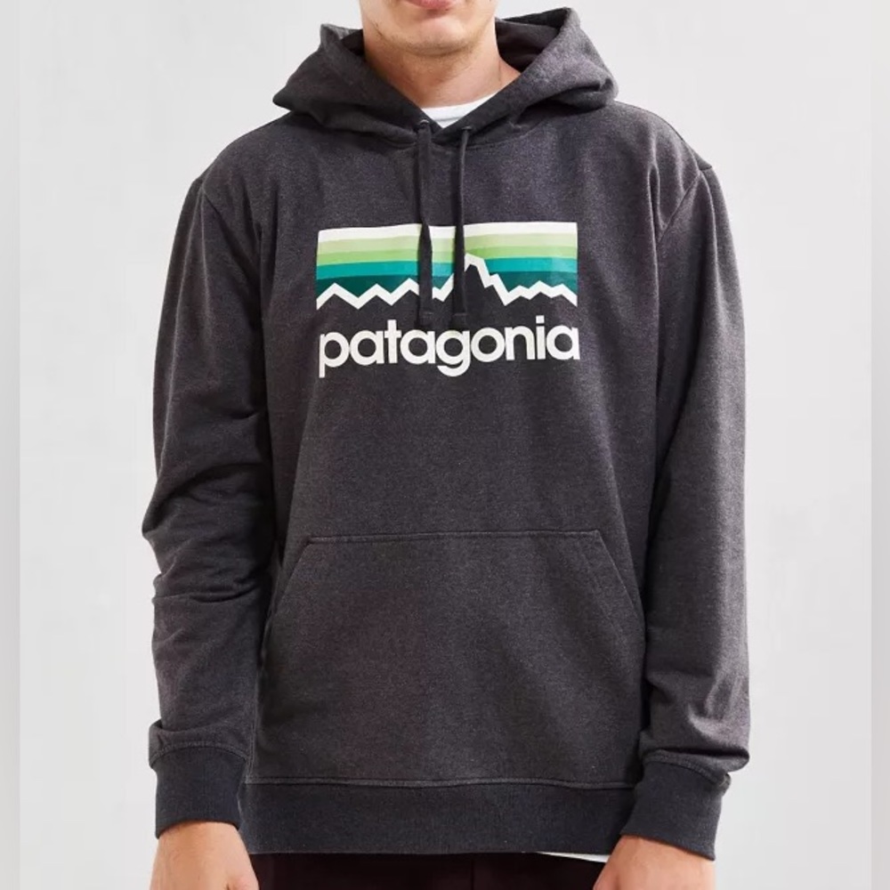 Patagonia Men’s Logo Hoodie (Charcoal, S)
